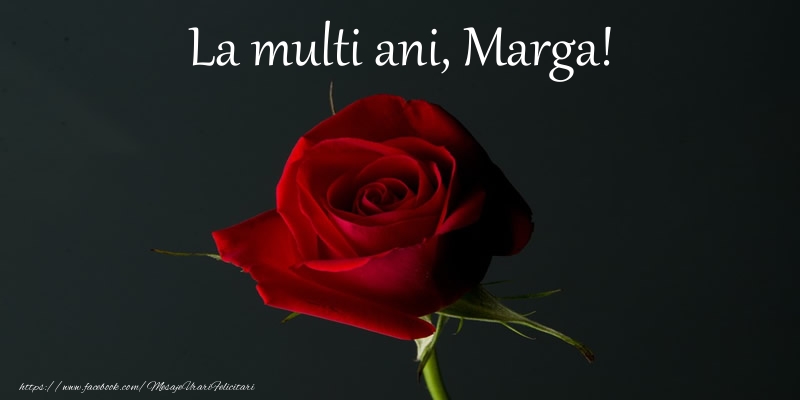 Felicitari de zi de nastere - Flori & Trandafiri | La multi ani Marga!