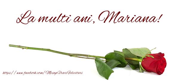 Felicitari de zi de nastere - Flori & Trandafiri | La multi ani, Mariana!