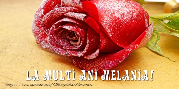 Felicitari de zi de nastere - Flori & Trandafiri | La multi ani Melania!