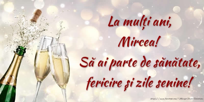 Zi de nastere La mulți ani, Mircea! Să ai parte de sănătate, fericire și zile senine!