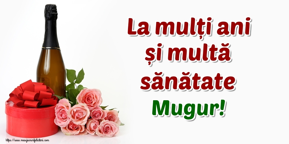 Felicitari de zi de nastere - Flori & Sampanie | La mulți ani și multă sănătate Mugur!