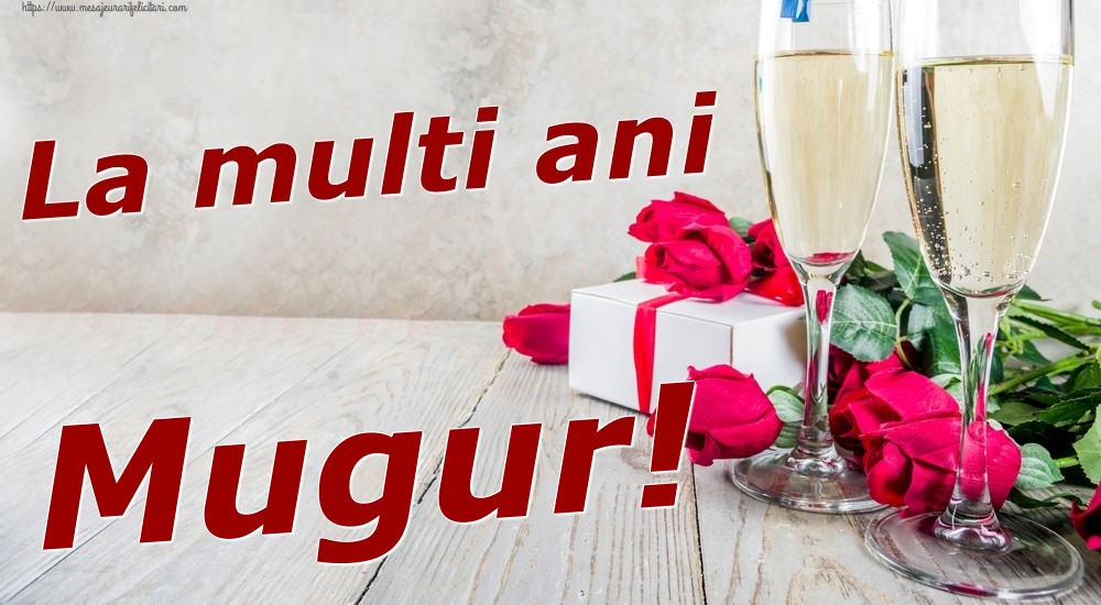 Felicitari de zi de nastere - Sampanie & Trandafiri | La multi ani Mugur!