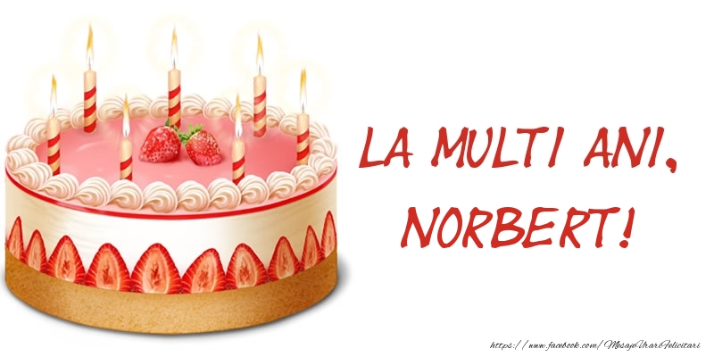 Felicitari de zi de nastere -  La multi ani, Norbert! Tort