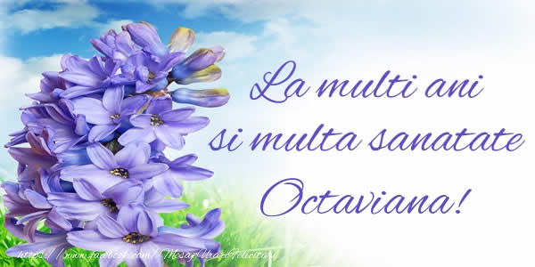 Felicitari de zi de nastere - Flori | La multi ani si multa sanatate Octaviana!