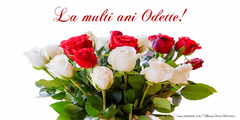 Felicitari de zi de nastere - Buchete De Flori & Flori & Trandafiri | La multi ani Odette!