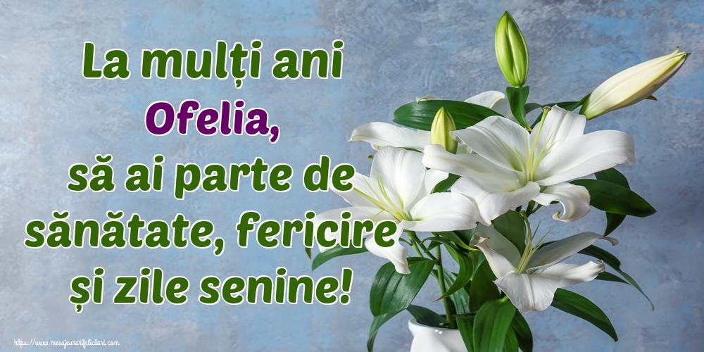 Felicitari de zi de nastere - Flori | La mulți ani Ofelia, să ai parte de sănătate, fericire și zile senine!