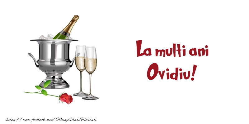  Felicitari de zi de nastere - Sampanie | La multi ani Ovidiu!