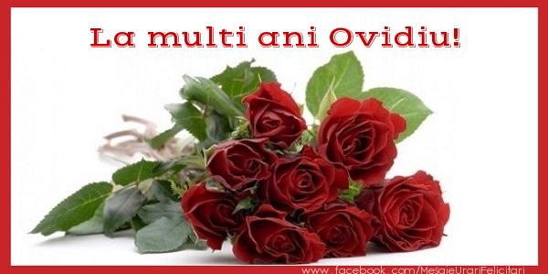 Felicitari de zi de nastere - Flori & Trandafiri | La multi ani Ovidiu!