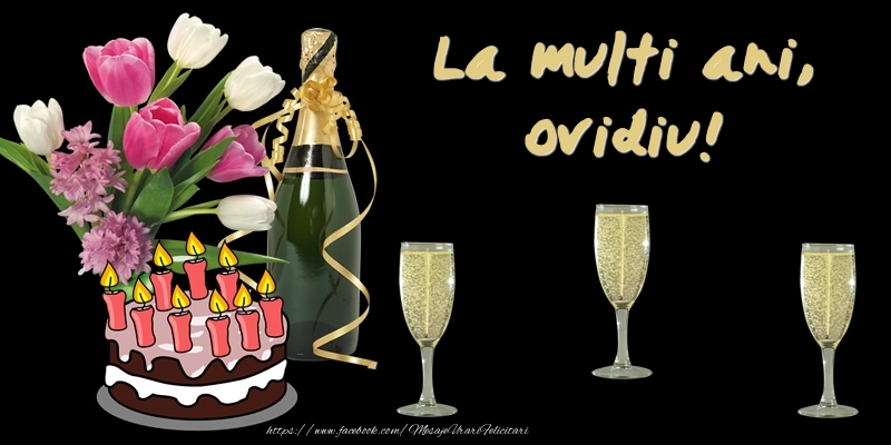 Felicitari de zi de nastere -  Felicitare cu tort, flori si sampanie: La multi ani, Ovidiu!