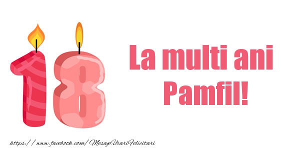 Felicitari de zi de nastere -  La multi ani Pamfil! 18 ani