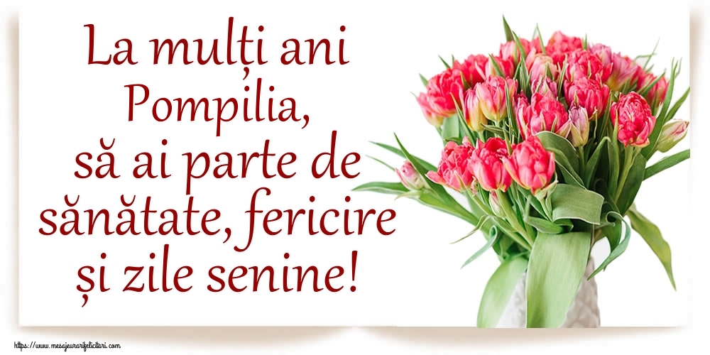 Felicitari de zi de nastere - La mulți ani Pompilia, să ai parte de sănătate, fericire și zile senine!