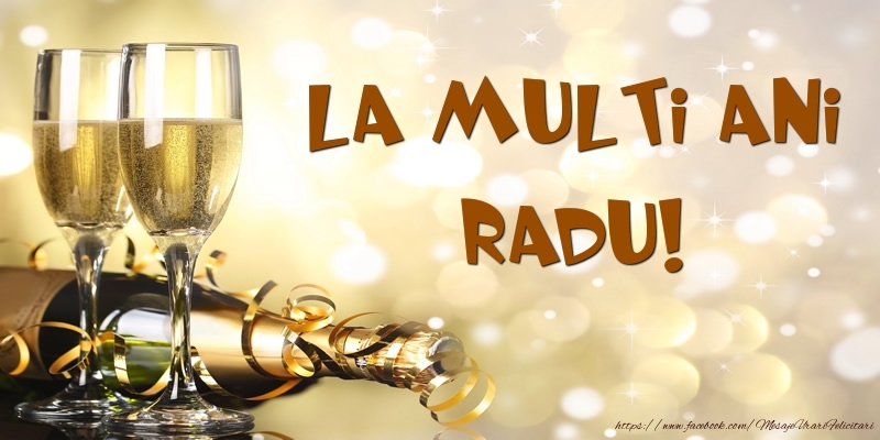 Felicitari de zi de nastere -  Sampanie - La multi ani, Radu!