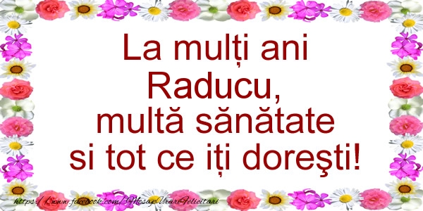 Felicitari de zi de nastere - La multi ani Raducu, multa sanatate si tot ce iti doresti!