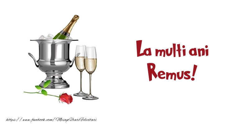 Felicitari de zi de nastere - Sampanie | La multi ani Remus!