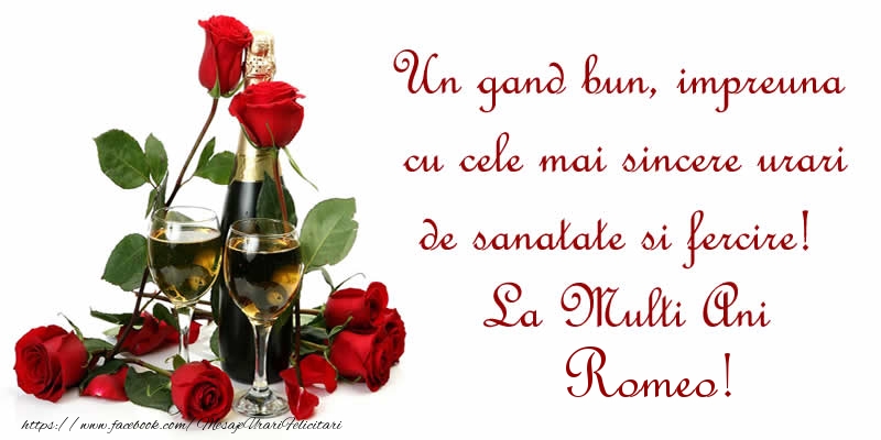 Felicitari de zi de nastere - Flori & Sampanie | Un gand bun, impreuna cu cele mai sincere urari de sanatate si fercire! La Multi Ani Romeo!