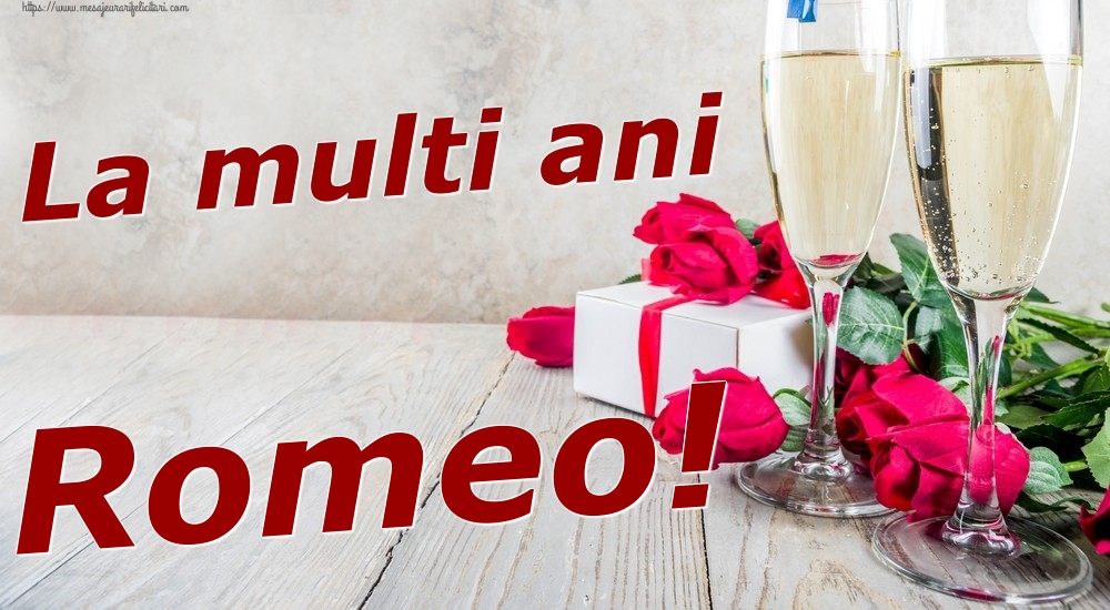 Felicitari de zi de nastere - Sampanie & Trandafiri | La multi ani Romeo!