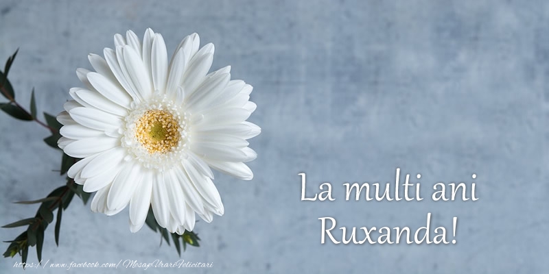 Felicitari de zi de nastere - La multi ani Ruxanda!