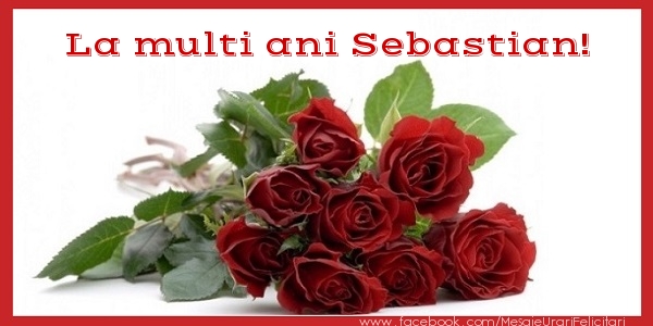 Felicitari de zi de nastere - Flori & Trandafiri | La multi ani Sebastian!