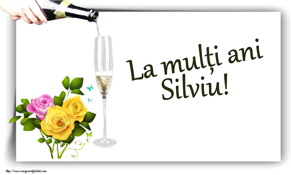 Felicitari de zi de nastere - La mulți ani Silviu!