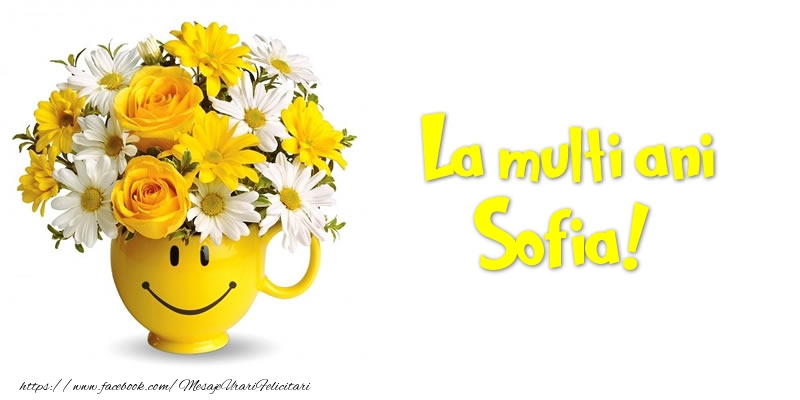 Felicitari de zi de nastere - Buchete De Flori & Flori | La multi ani Sofia!