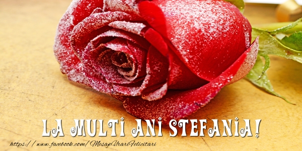 Felicitari de zi de nastere - Flori & Trandafiri | La multi ani Stefania!