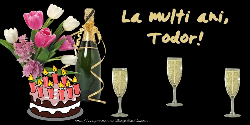 Felicitari de zi de nastere -  Felicitare cu tort, flori si sampanie: La multi ani, Todor!