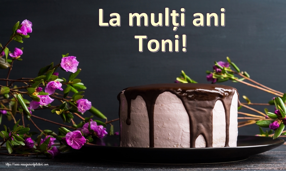 Felicitari de zi de nastere - Tort | La mulți ani Toni!
