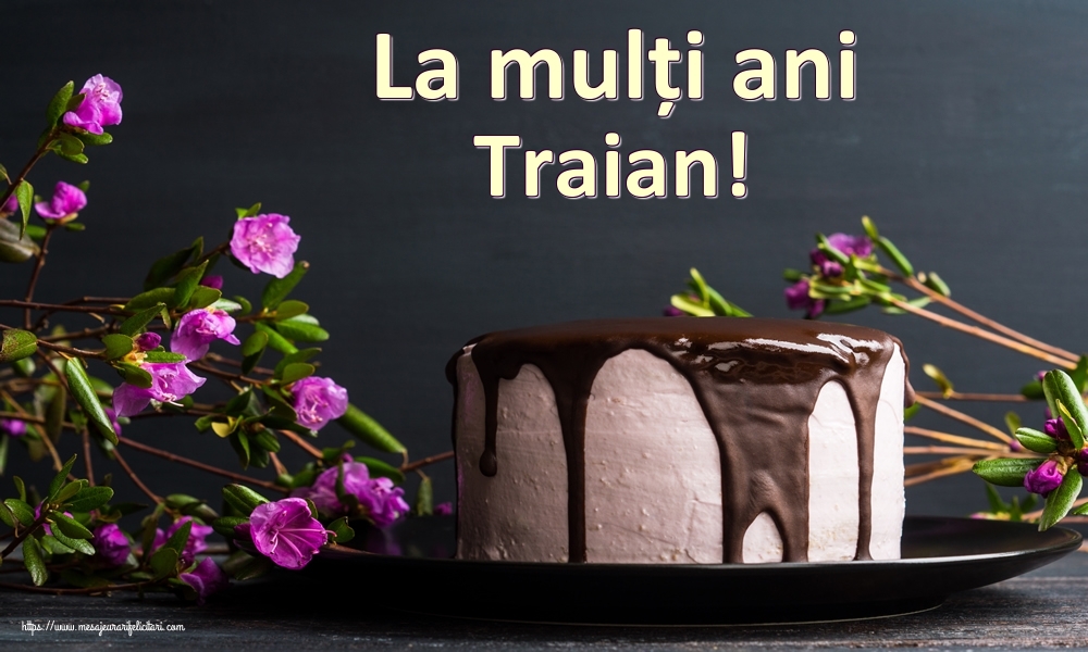 Felicitari de zi de nastere - Tort | La mulți ani Traian!