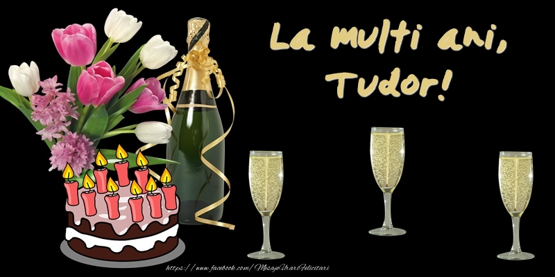 Felicitari de zi de nastere -  Felicitare cu tort, flori si sampanie: La multi ani, Tudor!