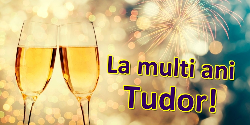 Felicitari de zi de nastere - Sampanie | La multi ani Tudor!