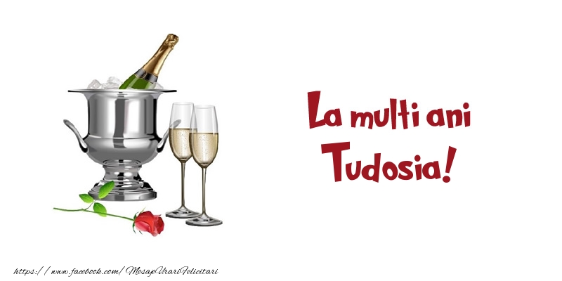 Felicitari de zi de nastere - Sampanie | La multi ani Tudosia!