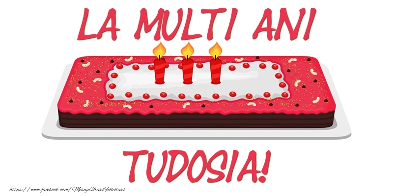 Felicitari de zi de nastere -  Tort La multi ani Tudosia!