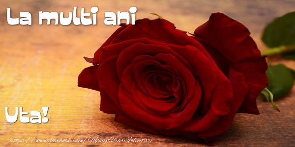 Felicitari de zi de nastere - Flori & Trandafiri | La multi ani Uta!