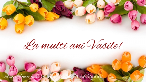Felicitari de zi de nastere - Flori & Lalele | La multi ani Vasile!