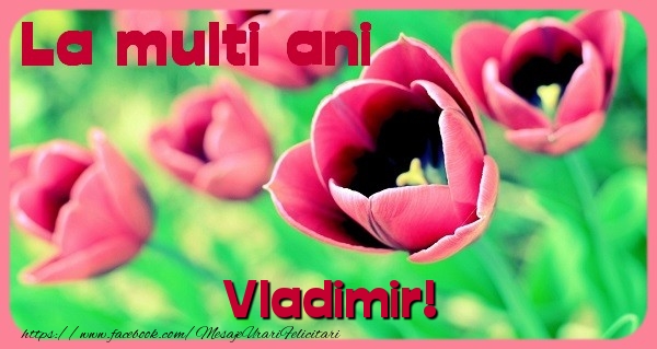 Felicitari de zi de nastere - Flori & Lalele | La multi ani Vladimir