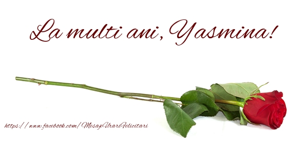 Felicitari de zi de nastere - Flori & Trandafiri | La multi ani, Yasmina!