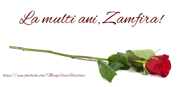 Felicitari de zi de nastere - Flori & Trandafiri | La multi ani, Zamfira!