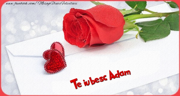 Felicitari Ziua indragostitilor - Trandafiri | Te iubesc  Adam
