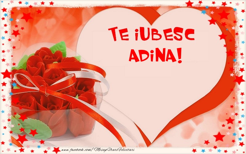 Felicitari Ziua indragostitilor - Te iubesc  Adina