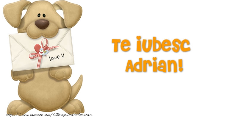 Felicitari Ziua indragostitilor - Te iubesc Adrian!