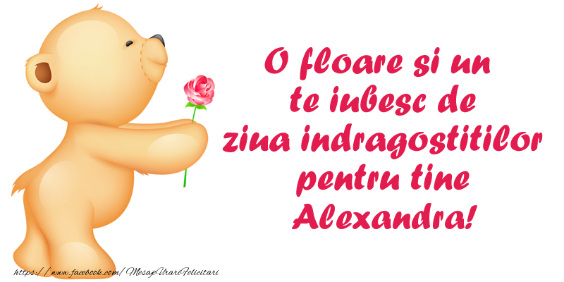Felicitari Ziua indragostitilor - Ursuleti | O floare si un te iubesc de ziua indragostitilor pentru tine Alexandra!