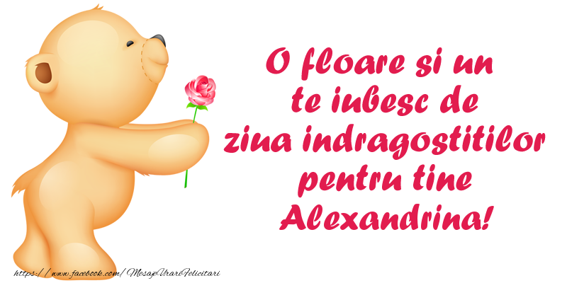 Felicitari Ziua indragostitilor - Ursuleti | O floare si un te iubesc de ziua indragostitilor pentru tine Alexandrina!