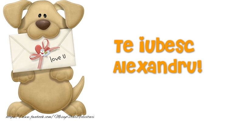 Felicitari Ziua indragostitilor - Te iubesc Alexandru!