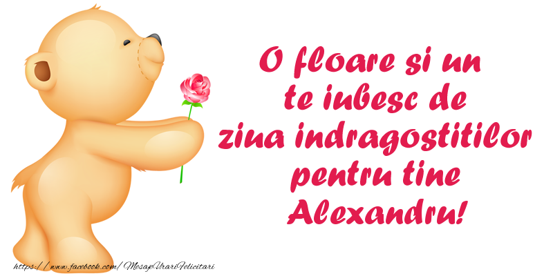 Felicitari Ziua indragostitilor - Ursuleti | O floare si un te iubesc de ziua indragostitilor pentru tine Alexandru!