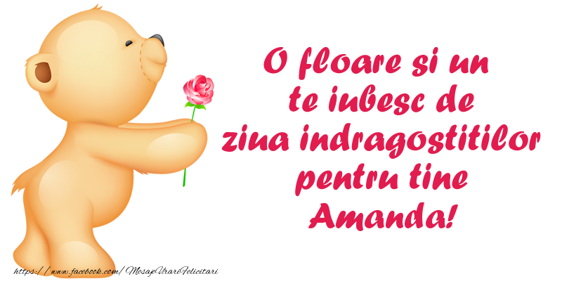 Felicitari Ziua indragostitilor - Ursuleti | O floare si un te iubesc de ziua indragostitilor pentru tine Amanda!