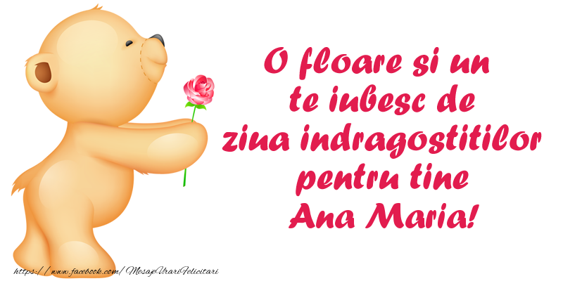 Felicitari Ziua indragostitilor - Ursuleti | O floare si un te iubesc de ziua indragostitilor pentru tine Ana Maria!