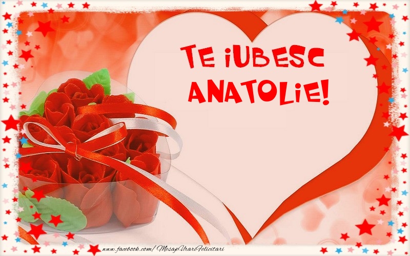 Felicitari Ziua indragostitilor - Te iubesc  Anatolie