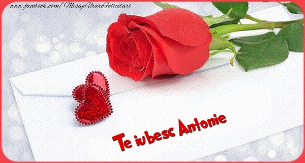 Felicitari Ziua indragostitilor - Te iubesc  Antonie