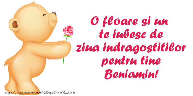 Felicitari Ziua indragostitilor - Ursuleti | O floare si un te iubesc de ziua indragostitilor pentru tine Beniamin!