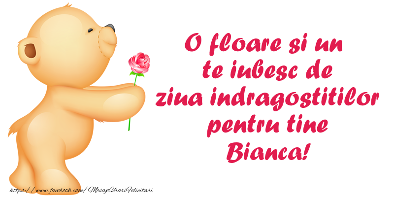 Felicitari Ziua indragostitilor - Ursuleti | O floare si un te iubesc de ziua indragostitilor pentru tine Bianca!